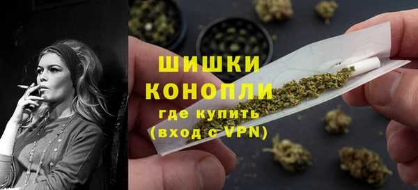 ГАЛЛЮЦИНОГЕННЫЕ ГРИБЫ Аркадак
