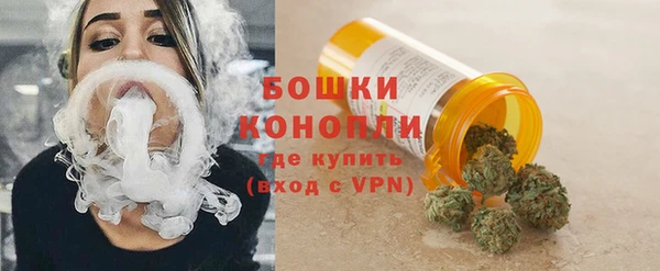 ГАЛЛЮЦИНОГЕННЫЕ ГРИБЫ Аркадак