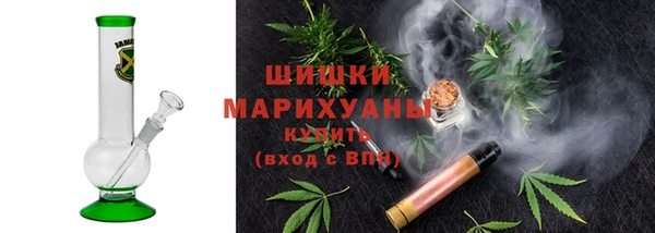 ГАЛЛЮЦИНОГЕННЫЕ ГРИБЫ Аркадак