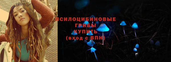 ГАЛЛЮЦИНОГЕННЫЕ ГРИБЫ Аркадак