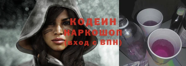 ГАЛЛЮЦИНОГЕННЫЕ ГРИБЫ Аркадак