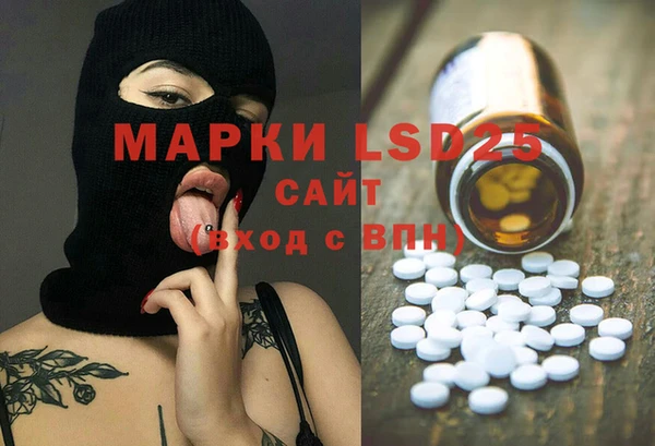 ГАЛЛЮЦИНОГЕННЫЕ ГРИБЫ Аркадак